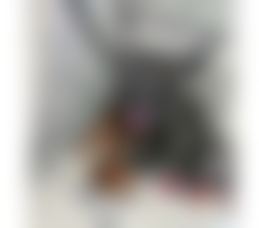 Escorts Leicester City Centre Leicester - Photos for LISA 💥 💯 GENUINE 🌸🌺NEW in your city!🍾🥂